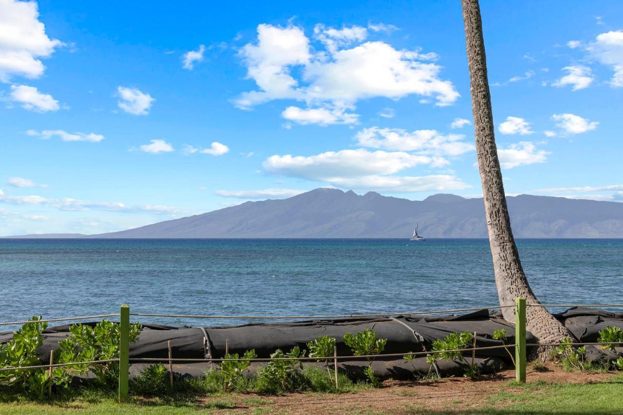 Incredible Beachfront 1Br - Sleeps 4 Awesome Location And In The Center Of Restaurants Many Beaches Golf And More Villa Kahana Exteriör bild
