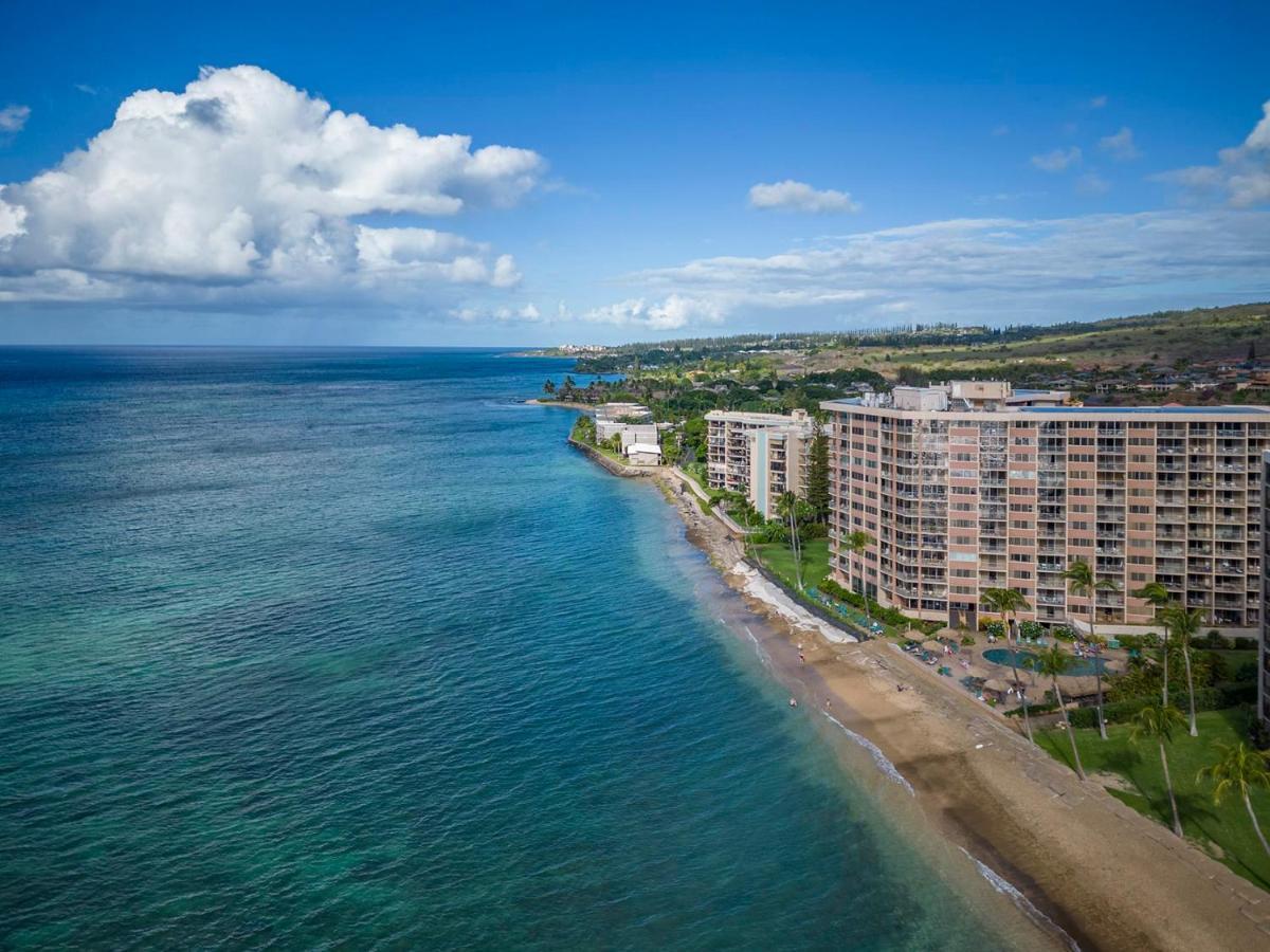 Incredible Beachfront 1Br - Sleeps 4 Awesome Location And In The Center Of Restaurants Many Beaches Golf And More Villa Kahana Exteriör bild